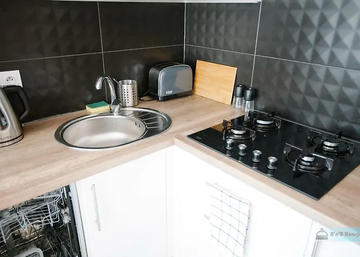 Apartment Concierge Polin *